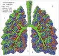 Weed Lungs Rhinestone DIY Portrait Template